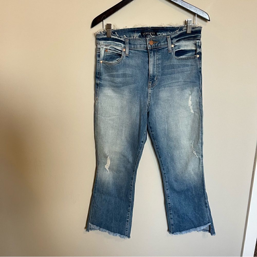 Level 99 Crop Step Frayed Hem